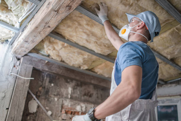 Best Energy Efficiency Solutions in Vestavia Hills, AL